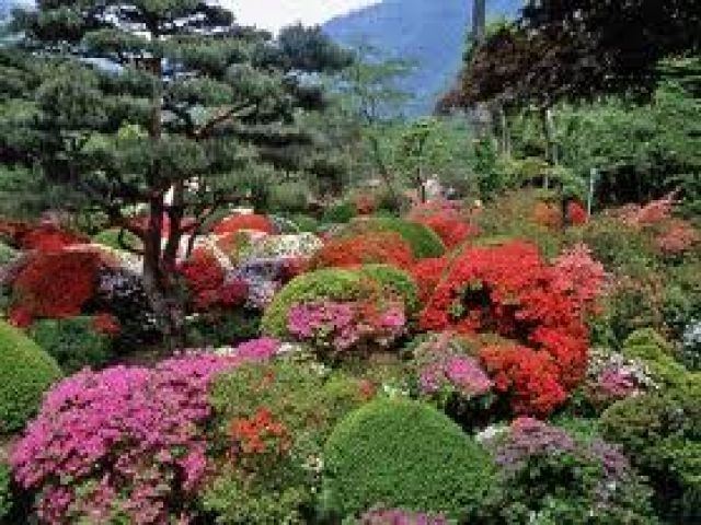 四季折々の植物が彩る日本庭園★