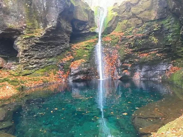 全国区でも名高い"鬼怒川温泉"は、東京から特急で約2時間半と手軽に行ける旅先としても人気！