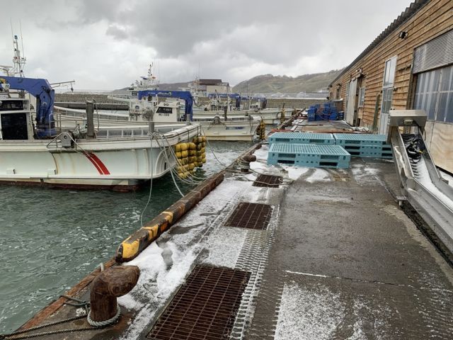 ☆目の前には海が広がります☆漁業に興味がある方はぜひ！