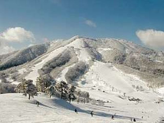 フッカフカのパウダースノーの滑り心地は格別♪♪充実のパークが有るから楽しみ方色々☆