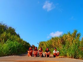 シュガーロード！！！さとうきびに囲まれた小浜島の有名スポット♪
