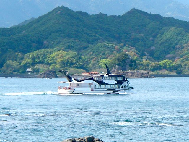 勝浦港はマグロの水揚げ量が多くて有名です。