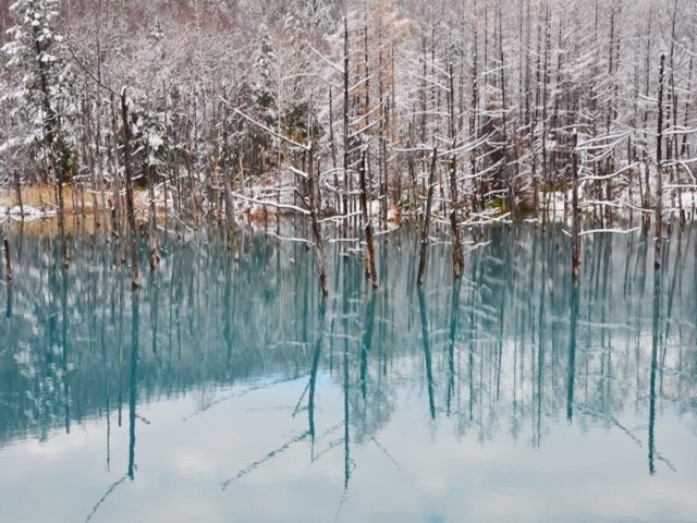 北海道の大人気観光地【富良野・美瑛】で、あなたのご経験を生かしてください(^^)/