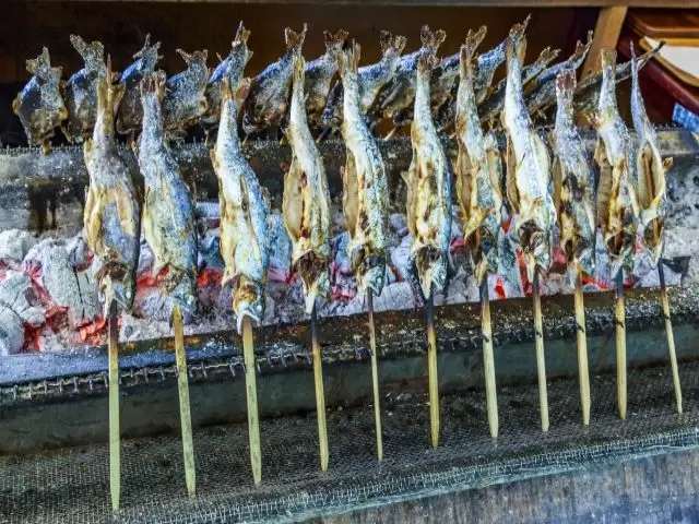 釣りもできます！釣ったヤマメを塩焼きで食べるのは格別です！