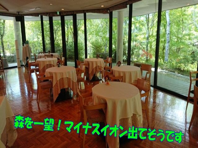 食材にこだわったフレンチを提供しています！