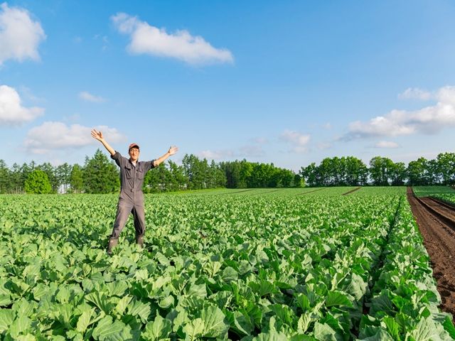 友人同士大歓迎！一生の思い出を作りに行こう！
