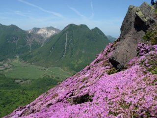 【温泉県で有名な大分県】【交通費支給有】元々客室としていた所が寮になります！