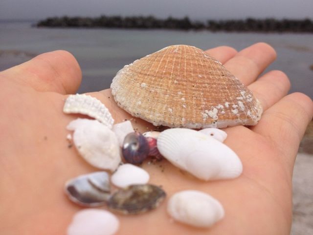 今年の思い出は利尻でつくろー！！