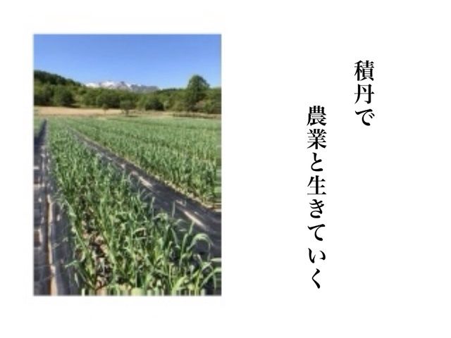 余市の農業バイト 求人情報 リゾートバイトの リゾバ Com