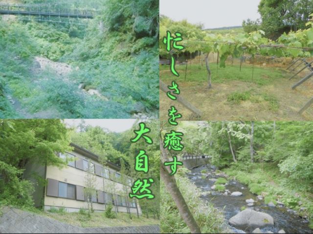 自然に癒されながら接客スキルをアップ♪