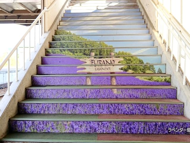 農業へ一歩踏み出してみましょう！