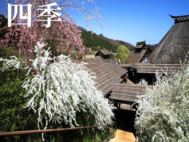 春は桜。夏は緑葉。秋は紅葉。冬は雪景色。日本の美しい四季が顕著にあらわれます。