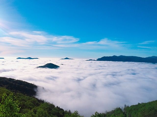 お休みの日は雲海テラスに登って、絶景眺められます♪