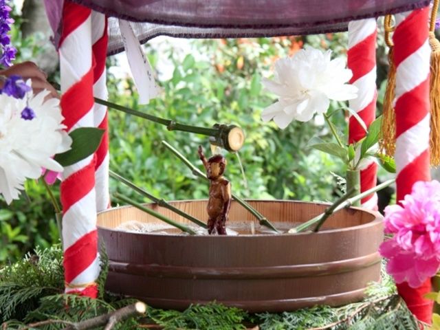 鹿児島の三大祭り・お釈迦まつり。華やかなパレードで、観光客で賑わい県内屈指のお祭りです。