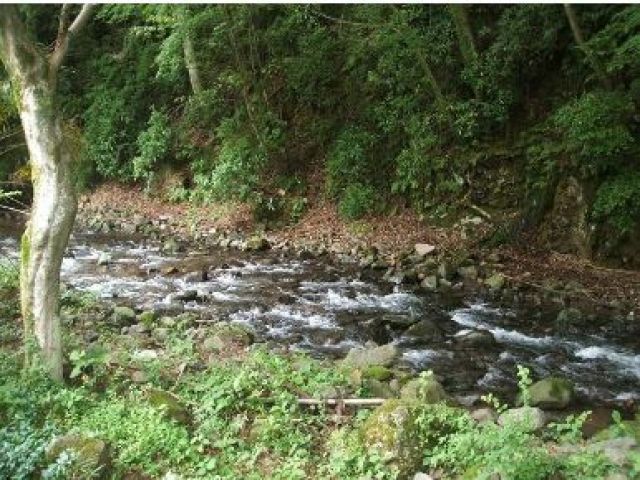 近くには綺麗な川が流れている自然も豊かな温泉地です！