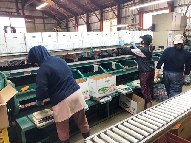 未経験からでも応募可能です！