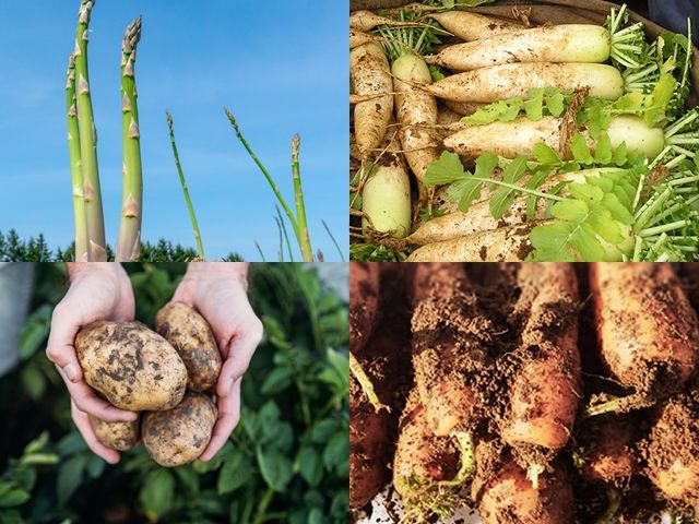 貴重な経験を短期でお仕事することが出来ます！！