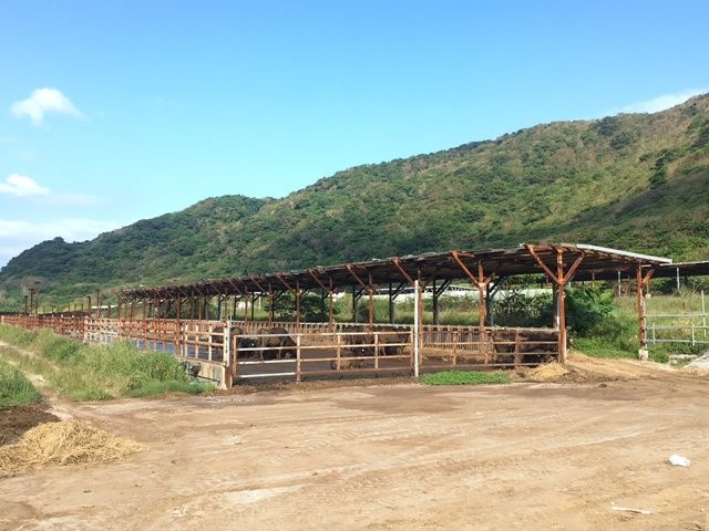 職場近隣は自然のみ！！緑が多く、海も目の前の環境です♪