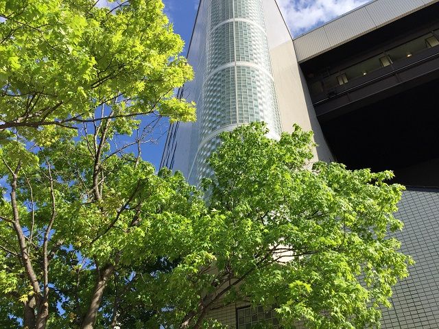 カップルさん、友人同士大歓迎！
夏休みの短期お待ちしております！