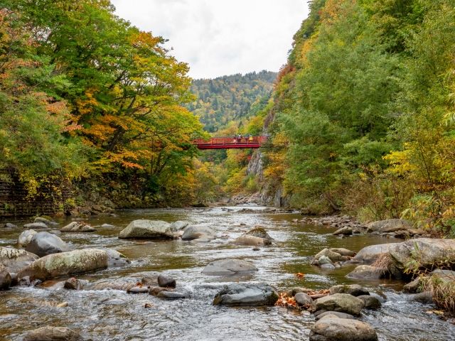 歴史あるホテルで快適リゾートバイト！