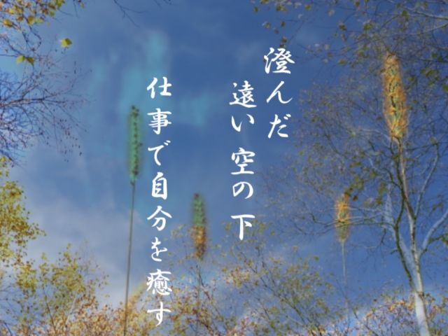 都会の喧騒から離れて大自然の中でお仕事♪