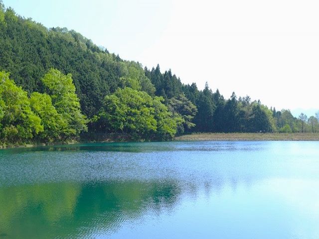 大自然が広がり空気の美味しい夏のゲレンデでのお仕事です♪