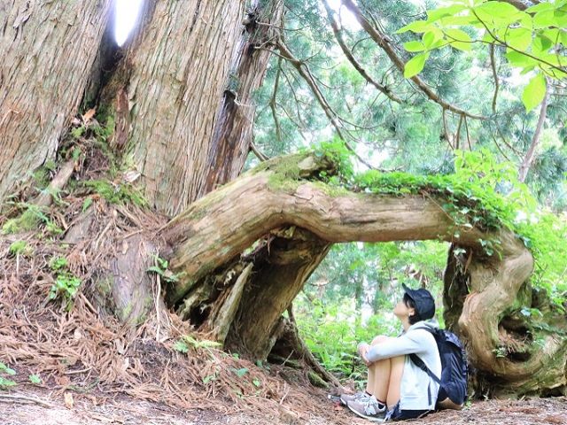 海だけでなく、自然も豊かな離島です。まだまだ未開拓エリアもありマイナスイオンたっぷりです♪