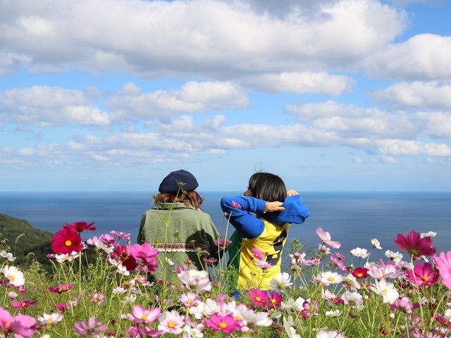 海の見える丘では、綺麗なお花と海の絶景を楽しめます♪インスタ映え間違いなしです☆