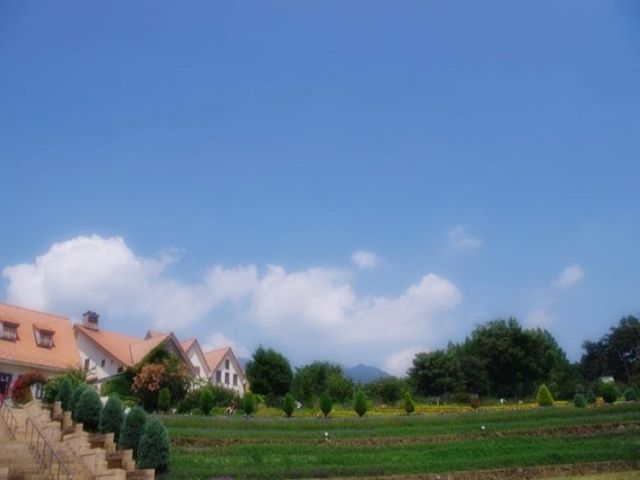 大自然に囲まれたエリアです☆