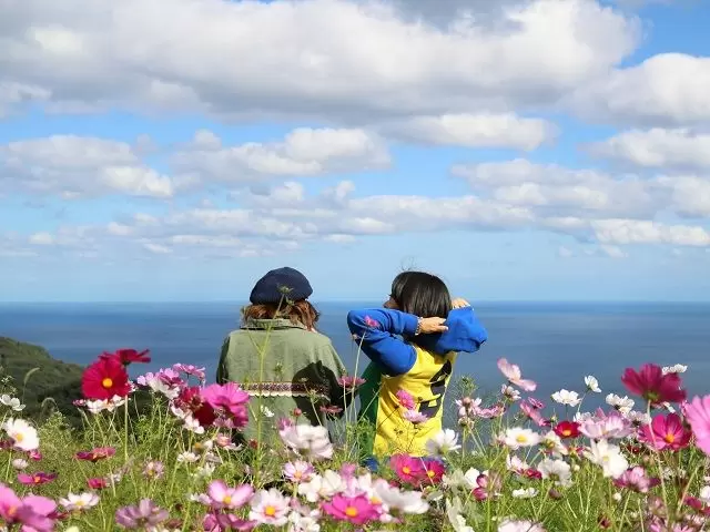 海の見える丘では、綺麗なお花と海の絶景を楽しめます♪インスタ映え間違いなしです☆