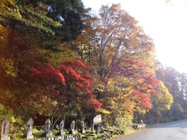 秋は紅葉がとても綺麗です★☆
