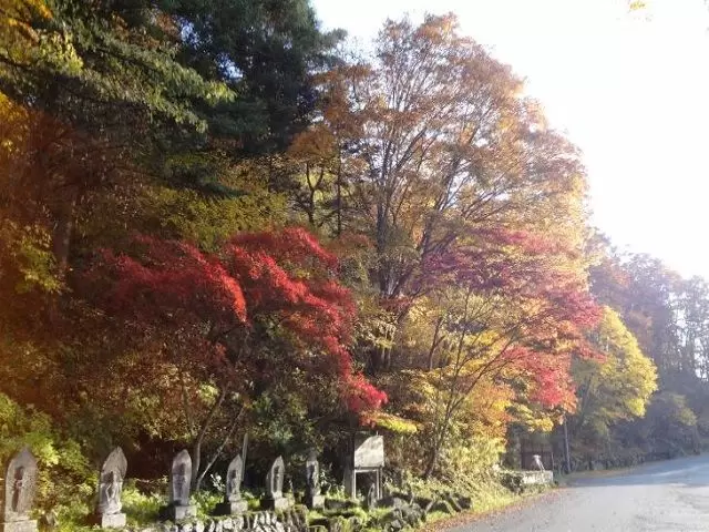 秋は紅葉がとても綺麗です★☆
