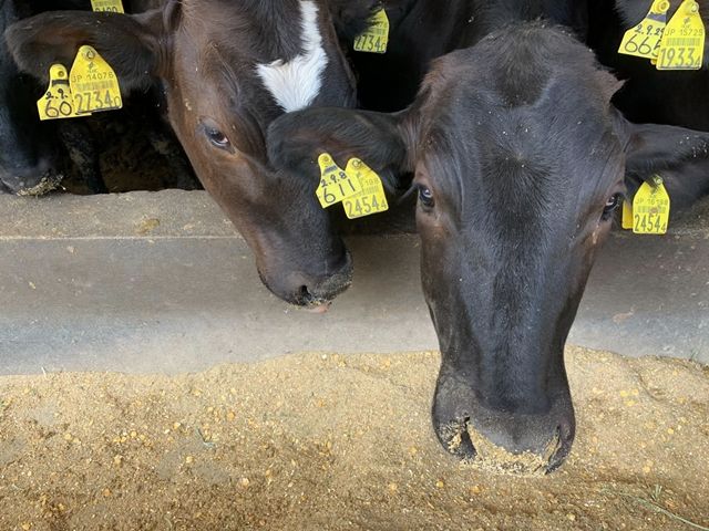 愛情をもって接してあげましょう！