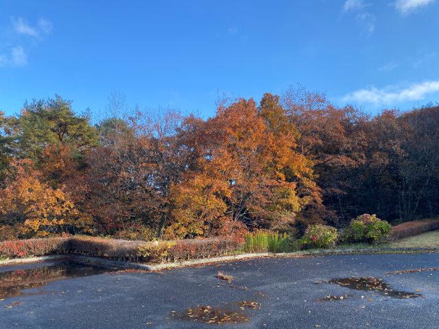 自然に囲まれ楽しく仕事が出来ます☆現地の方は優しい方が多く、職場環境はとても良いです◎