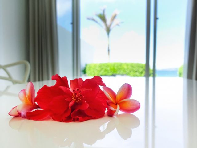 宮古島の隠れ家的ヴィラ内にあるレストランでの調理補助のお仕事です！嬉しい通しシフトです★