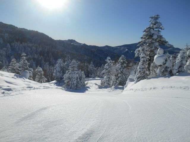 昼間のゲレンデはこのようなイメージです。やはり夜と昼では、印象が違います☆