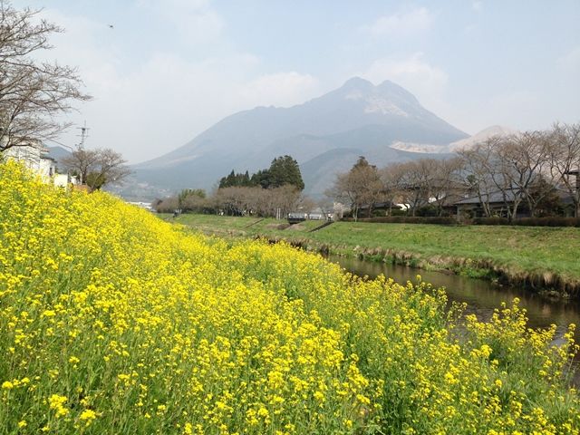 由布院の観光スポット・由布岳！！