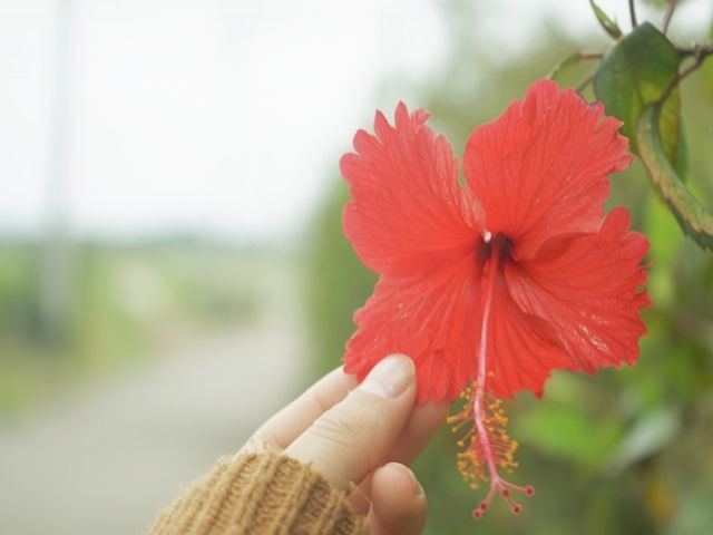 石垣島では早くも夏到来中です★