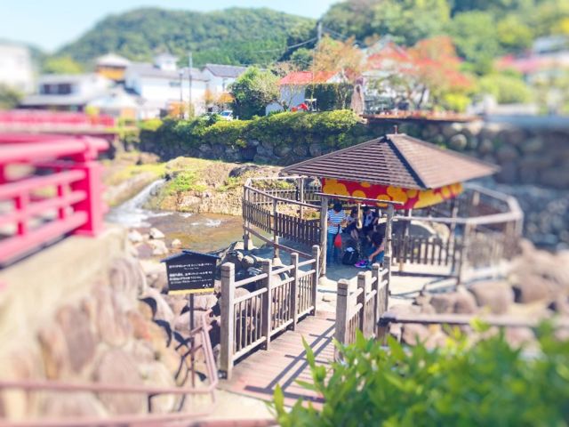 周辺には足湯も！