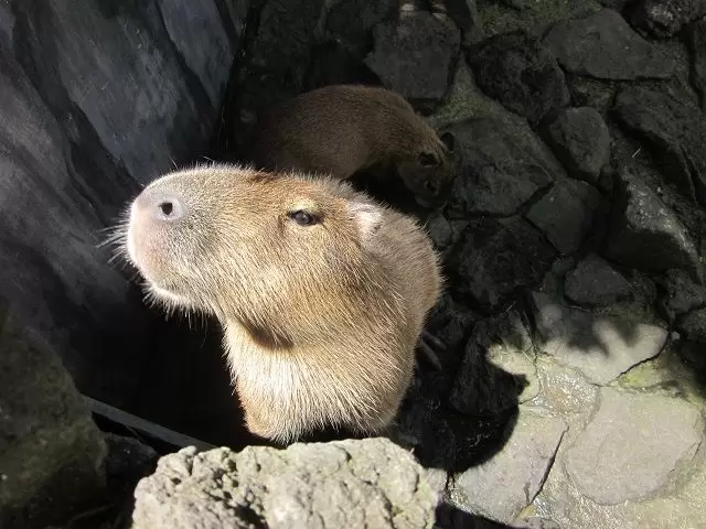 有名な公園も近いです♪