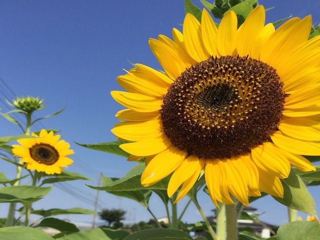 諏訪湖周辺は湿度が低く夏でも快適に過ごせますよ♪
夏こそオススメです！！