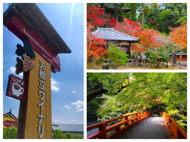 世界の人たちが注目する、京都ではんなりリゾバ♪