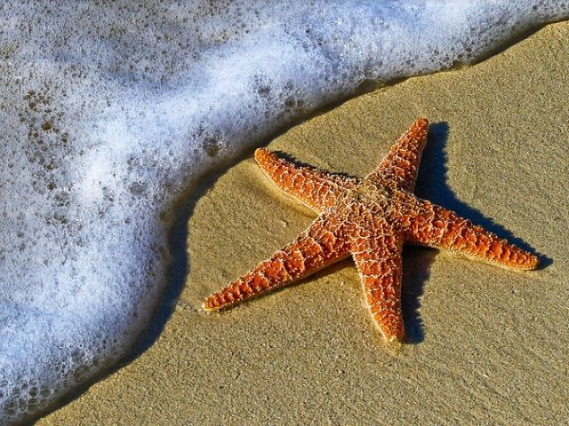 離島でゆったりと働こう～☆