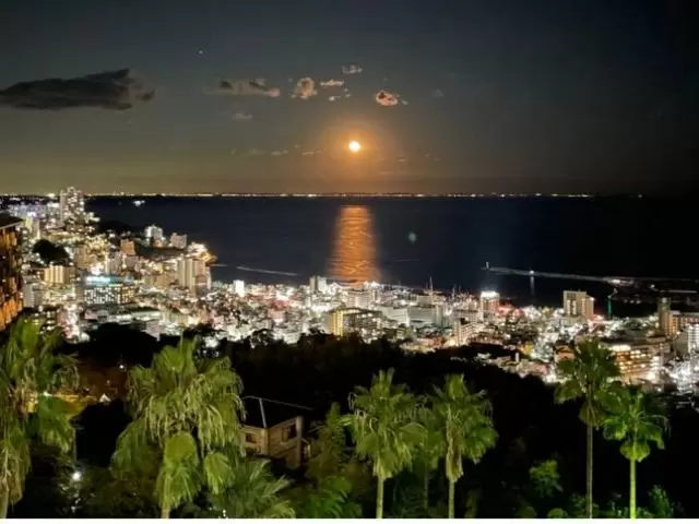 夜の熱海散策も楽しみの一つです♪日帰り旅行では見られない景色を堪能できます。