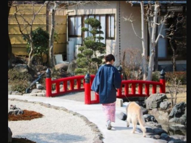 ☆ペットと泊まれるお宿☆寮で一緒に生活もできますよ！！