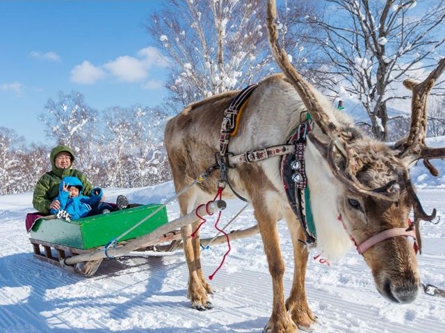 パウダースノーの聖地「ニセコ」レンタルstaff募集♪
