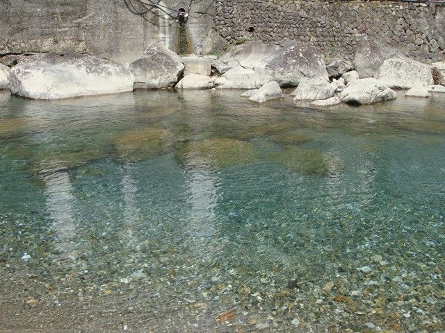 川の水は本当にキレイです！！