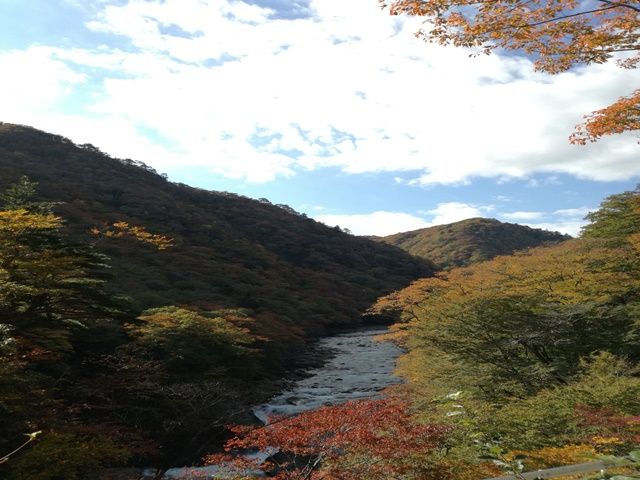 自然豊かなエリアです！！