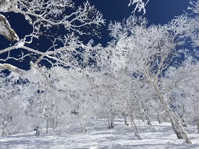 北海道を代表するリゾート地!!!