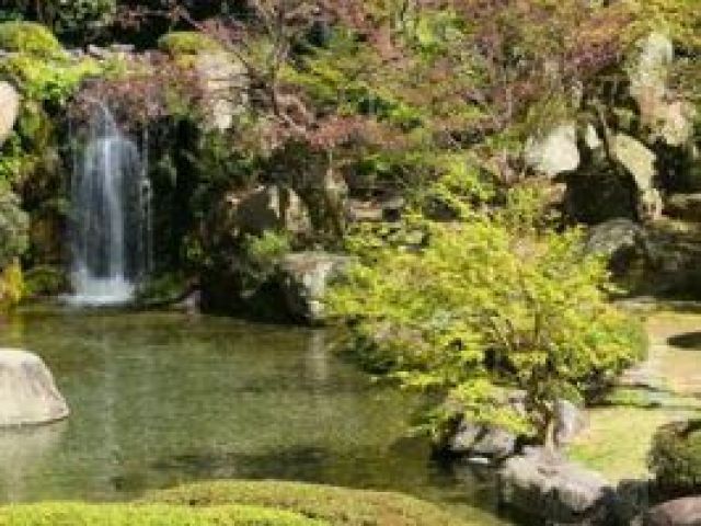 中庭も広く、お散歩も出来ちゃうかも♪